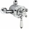 Nuie Premier Traditional Dual Exposed Thermo Valve - A3091e -Luxury Bathroom Shop premier traditional dual exposed thermo valve a3091e
